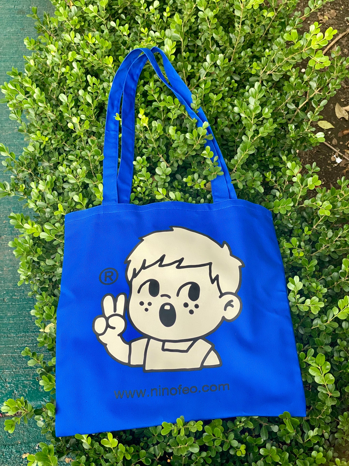 “El Niño.com” Totebag